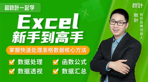 【秋叶网课】Excel新手到高手 商品图0