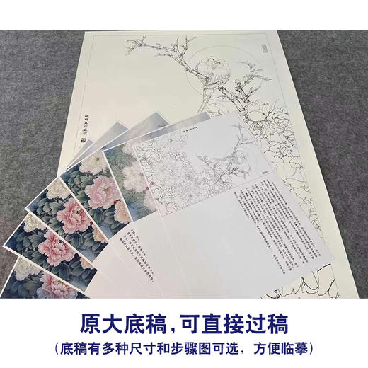 【有步骤、大彩图】李晓明竖幅工笔花鸟画白描底稿《牡丹鹦鹉图》多种白描尺寸可选KG16 商品图1