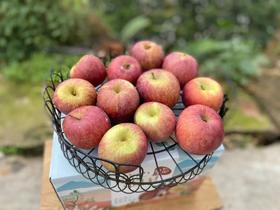  我丑，但我很甜！ 