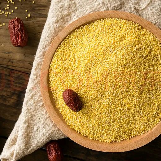 【泾川馆-艺果优品】燕之坊内蒙古赤峰黄小米4斤装 商品图2