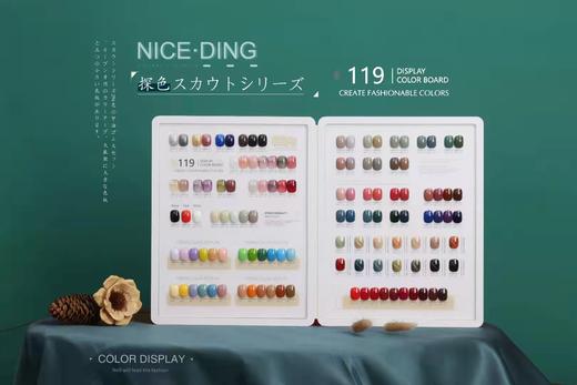 奈诗丁探色294色系列 商品图5