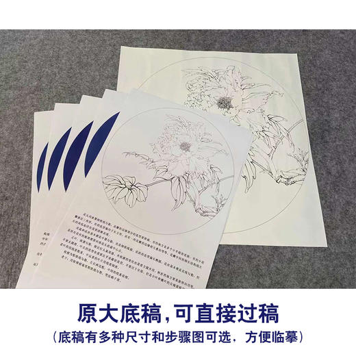 【有步骤、大彩图】李晓明工笔画白描底稿小品《胜葛巾》牡丹花鸟线稿KG20 商品图1