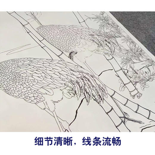 【有步骤、大彩图】李晓明工笔画白描稿《竹鹤图轴》竹子仙鹤临摹勾线花鸟线稿KG24 商品图4