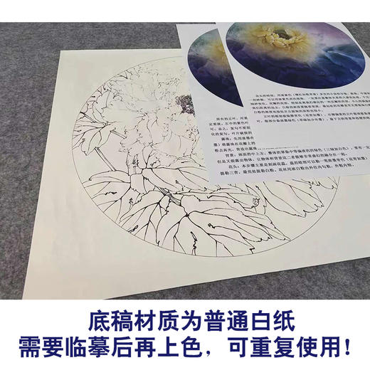 【有步骤、大彩图】李晓明工笔画白描底稿牡丹鹦鹉图花鸟线稿KG17 商品图3