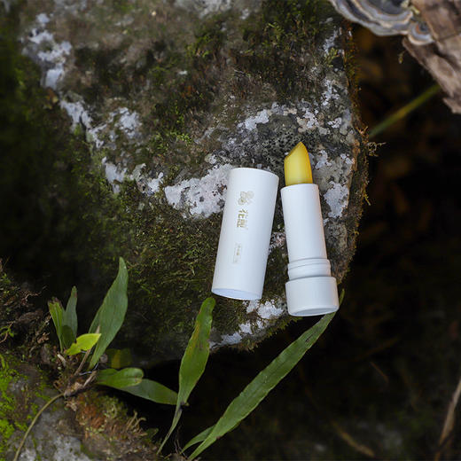 精选 | 花憩森林蜂蜜唇膏  深度滋养 3.8g/支 商品图4