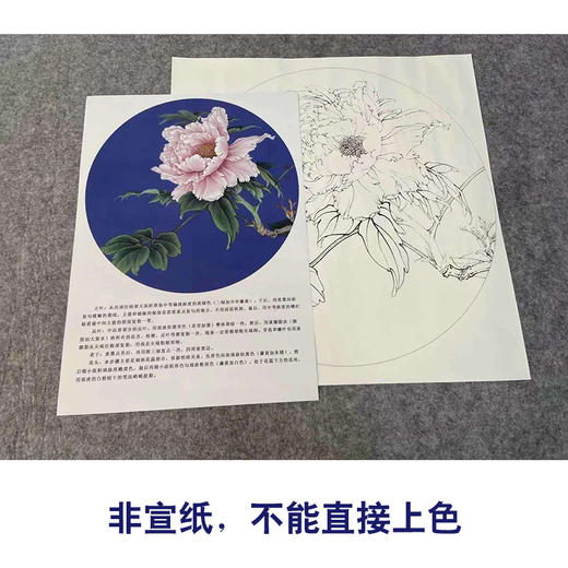 【有步骤、大彩图】李晓明工笔画白描底稿小品《胜葛巾》牡丹花鸟线稿KG20 商品图2