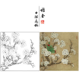 【有步骤、大彩图】李晓明工笔画白描底稿斗方小品《宋人梨花鹦鹉》花鸟线稿KG21