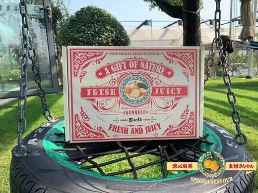 【润肺佳品】甜～融安滑皮金桔🍊 商品图4