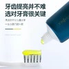 买2发4 茵束木瓜生物牙膏 160g/支 商品缩略图3