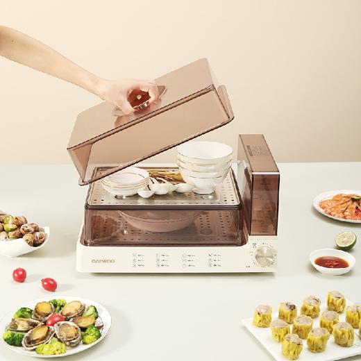 大宇 电蒸箱 DYZL-120 商品图4