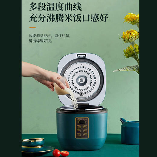 艾贝丽 | 1.6L智能电饭煲XH-16小家电 商品图2