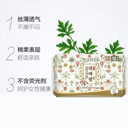 韩国lG贵爱娘韩方中草药卫生巾小款日用21cm18P 商品图2