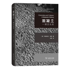 混凝土：一部文化史(建筑新视界)
