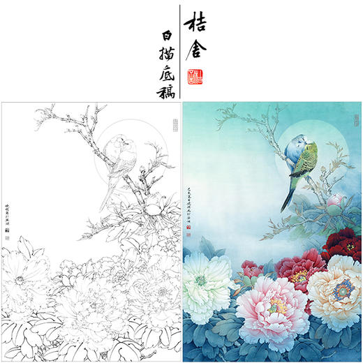 【有步骤、大彩图】李晓明竖幅工笔花鸟画白描底稿《牡丹鹦鹉图》多种白描尺寸可选KG16 商品图0