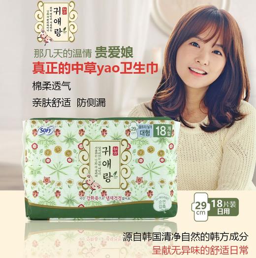 韩国lG贵爱娘韩方中草药卫生巾日/夜29cm18P 商品图1