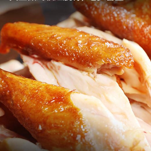 秦老吉德州五香扒鸡500g 商品图2