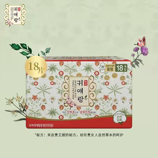 韩国lG贵爱娘韩方中草药卫生巾中款日用25cm18P 商品图10