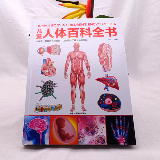 《儿童地球大百科》《儿童人体百科全书》 精装 商品图4