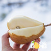 放软削皮再吃的丑梨 非常香甜嫩滑多汁 圆通快递 商品缩略图8