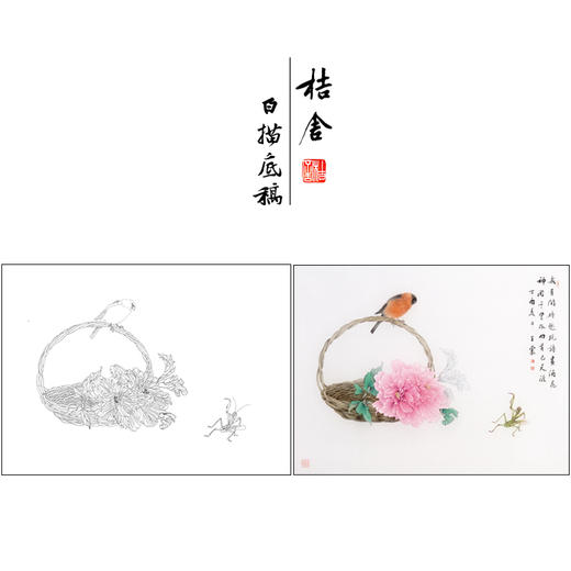 【有步骤】王震工笔画白描底稿小品《我有闲时趣》牡丹花篮初学者临摹花鸟线稿WZ11 商品图0