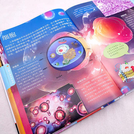 《儿童地球大百科》《儿童人体百科全书》 精装 商品图5