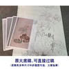 【有步骤】王震工笔画白描底稿《何曾一处不含香》博古花瓶初学者临摹花鸟线稿WZ29 商品缩略图1