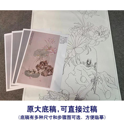 【有步骤】王震工笔画白描底稿《何曾一处不含香》博古花瓶初学者临摹花鸟线稿WZ29 商品图1