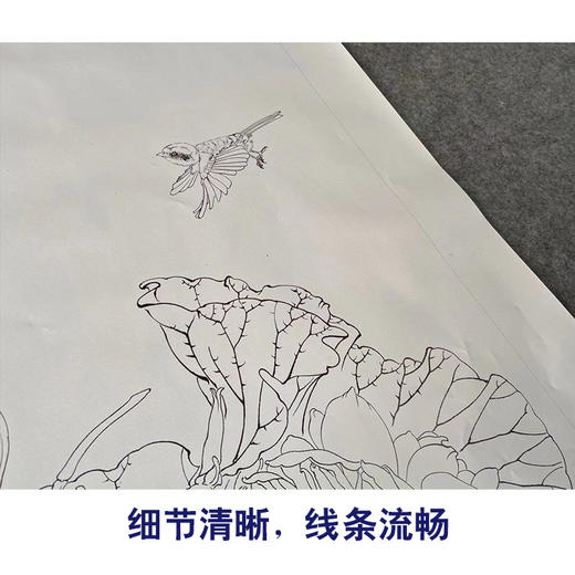 【有步骤】王震工笔画白描底稿《自有清香》荷花莲藕初学者临摹花鸟线稿WZ09 商品图4