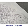 【有步骤】王震工笔画白描底稿《春风富贵花》博古花瓶初学者临摹花鸟线稿WZ05 商品缩略图4
