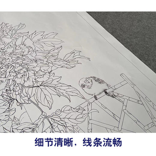 【有步骤】王震工笔画白描底稿《春风富贵花》博古花瓶初学者临摹花鸟线稿WZ05 商品图4