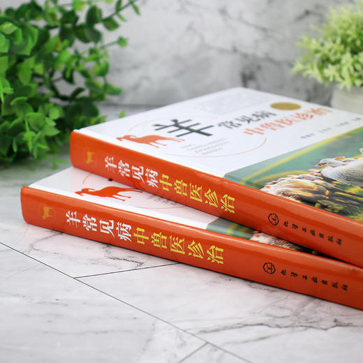 羊常见病中兽医诊治 商品图7