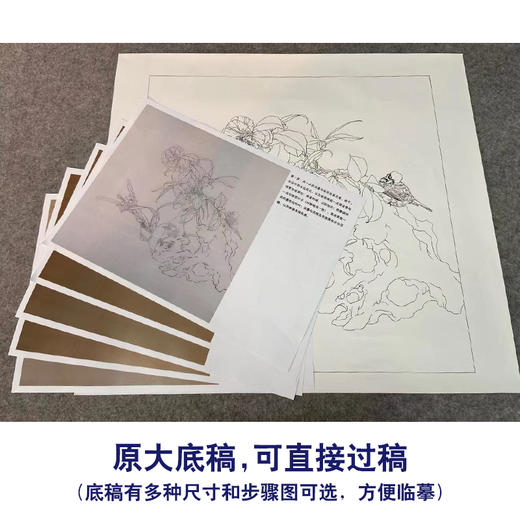【有步骤、大彩图】王震工笔画白描底稿博古斗方小品《清供（冬）》花瓶初学者临摹花鸟线稿WZ33 商品图1