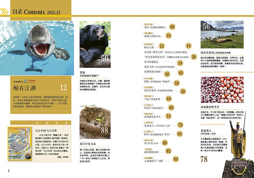《博物》202112  淡水豚 长江江豚 白鱀豚中华白海豚 旗舰店直营 商品图1