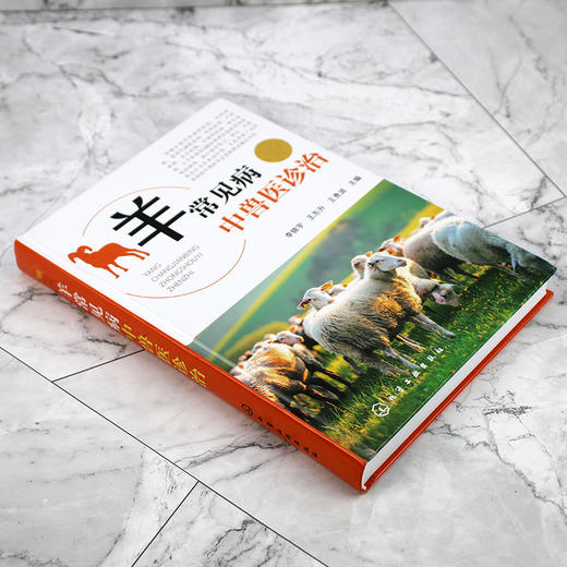 羊常见病中兽医诊治 商品图4