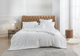 恐龙 B12F 华·蕴 佳品桑蚕丝被-厚