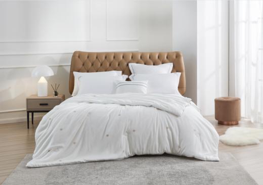 恐龙 B12F 华·蕴 佳品桑蚕丝被-春秋 商品图0