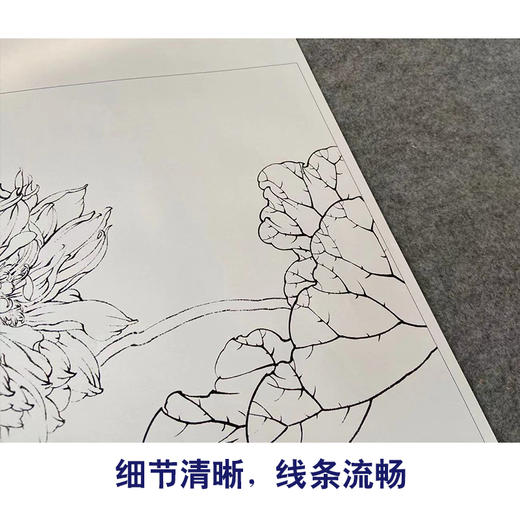 【有步骤】王震工笔画白描底稿斗方小品《与子偕老》荷花初学者临摹花鸟线稿WZ18 商品图4