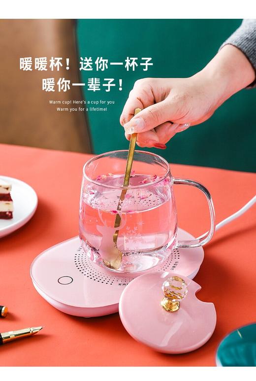 臻益玻璃暖暖杯55度智能恒温简约加热保温杯早餐热牛奶咖啡加热杯500ml 商品图1