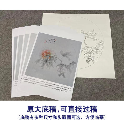 【有步骤】王震工笔画白描底稿圆形小品《同为长醉客》牡丹初学者临摹花鸟线稿WZ14 商品图1