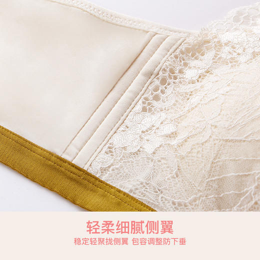 爱帝女士花卉底包边蕾丝文胸B杯型 商品图10