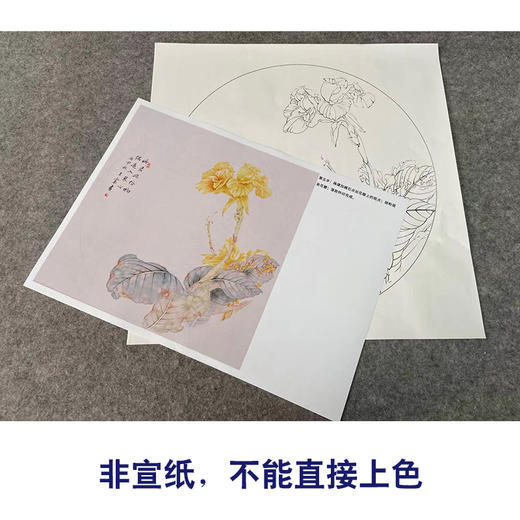 【有步骤】王震工笔画白描底稿圆形小品《偶过入琴心》美人蕉初学者临摹花鸟线稿WZ23 商品图1