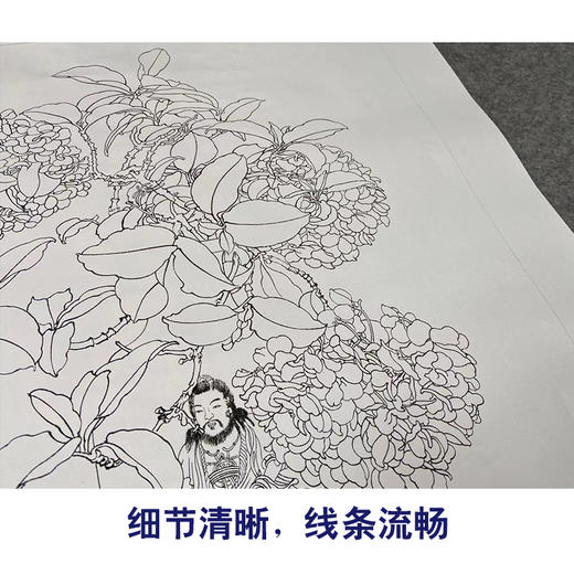 【有步骤】王震工笔画白描底稿《闲庭云梦》博古花瓶初学者临摹花鸟线稿WZ10 商品图4