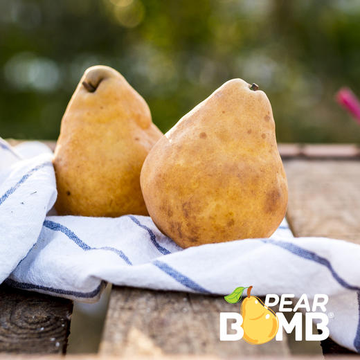 放软削皮再吃的丑梨 非常香甜嫩滑多汁 圆通快递 商品图5