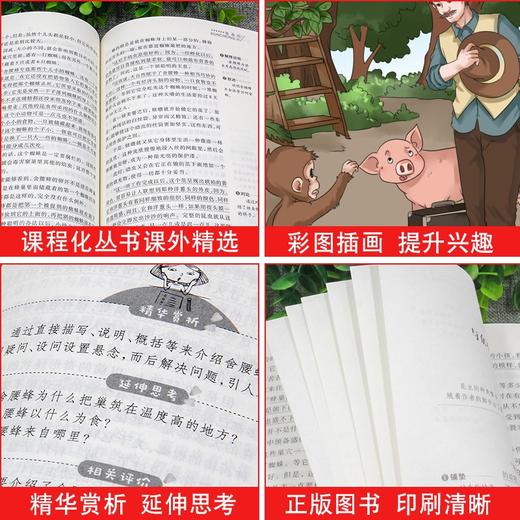 七色花(无障碍精读版) 商品图3