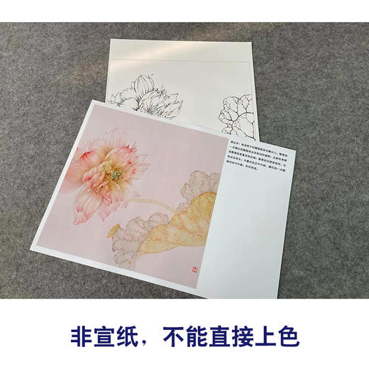 【有步骤】王震工笔画白描底稿斗方小品《与子偕老》荷花初学者临摹花鸟线稿WZ18 商品图2