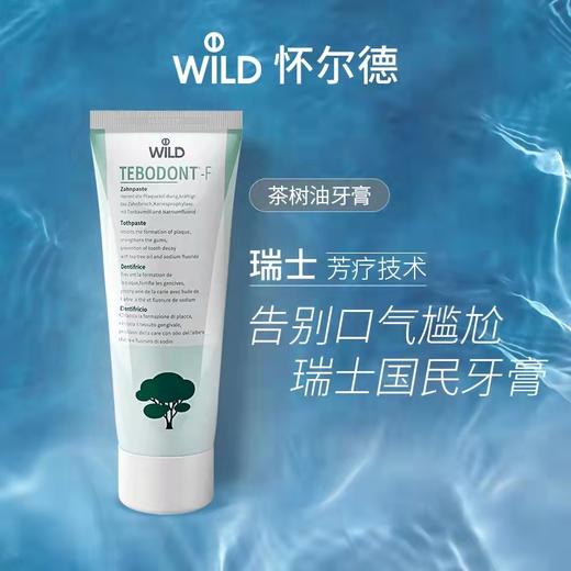 品牌直发 Dr.WILD 怀尔德 茶树油牙膏 75mL 商品图1