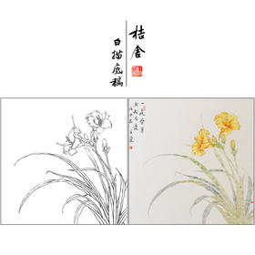 【有步骤】王震工笔画白描底稿斗方小品《忘忧》萱草初学者临摹花鸟线稿WZ22