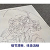 【有步骤】王震工笔画白描底稿圆形小品《荷花》初学者临摹花鸟线稿WZ26 商品缩略图4