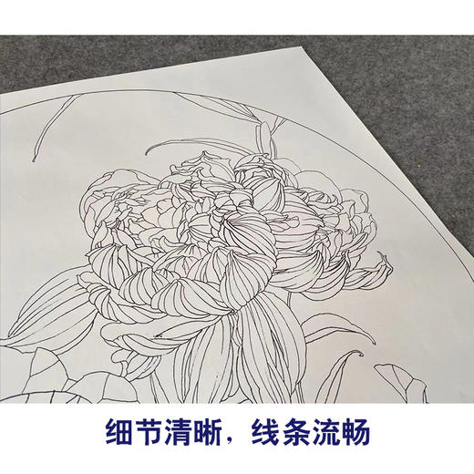 【有步骤】王震工笔画白描底稿圆形小品《荷花》初学者临摹花鸟线稿WZ26 商品图4