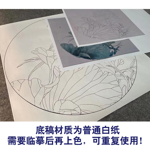 【有步骤】王震工笔画白描底稿圆形小品《荷花》初学者临摹花鸟线稿WZ26 商品图3